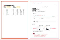 JAL�̒c�̓���Җ���ɂ���